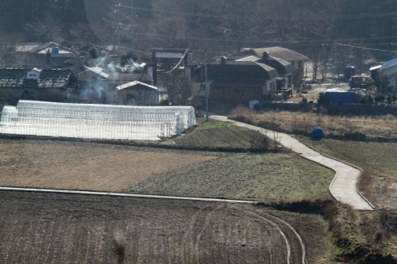 羅里盆地