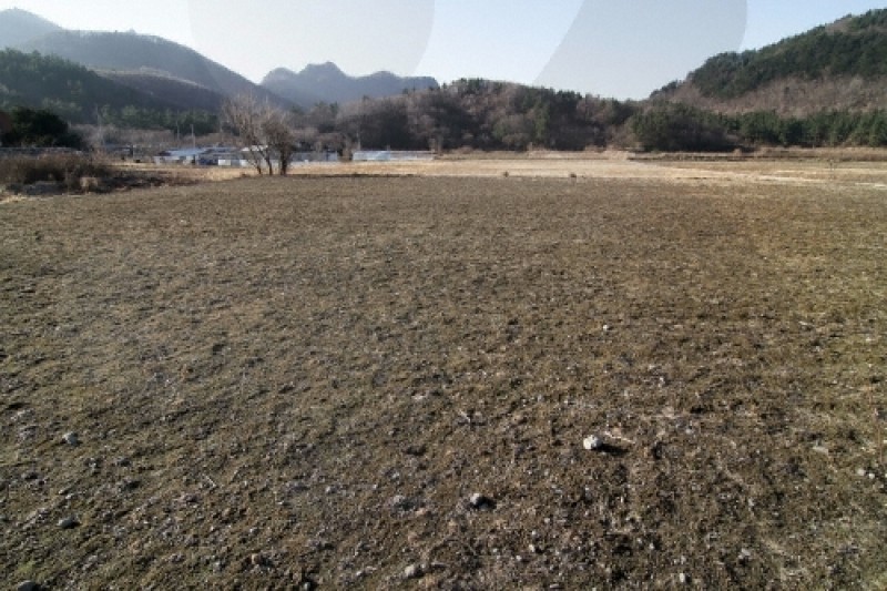 羅里盆地