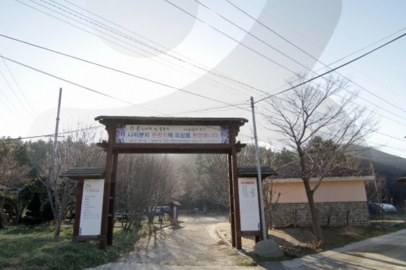 羅里盆地