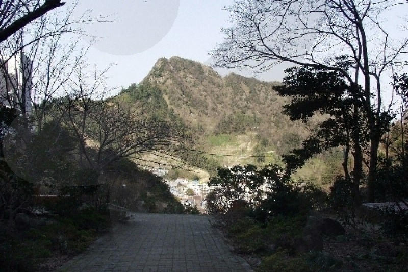 道洞藥水池