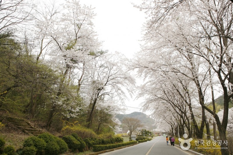 金烏山道立公園