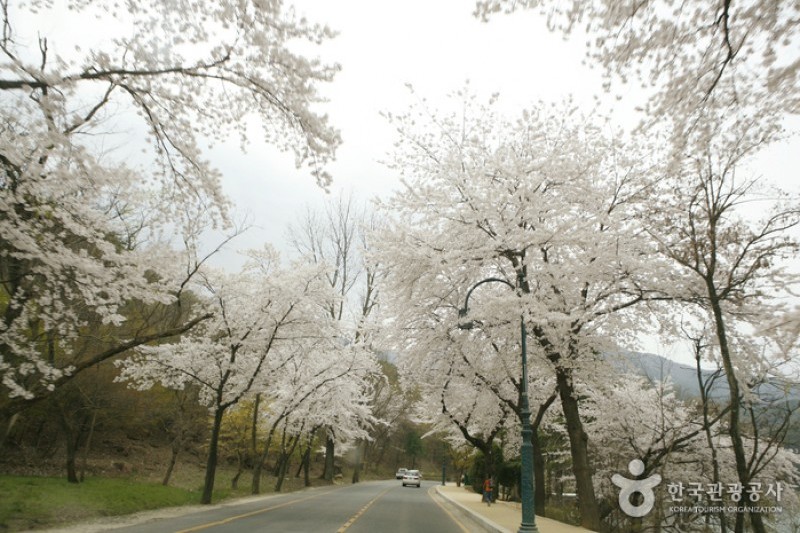 金烏山道立公園
