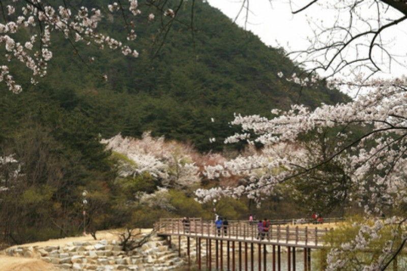 金烏山道立公園