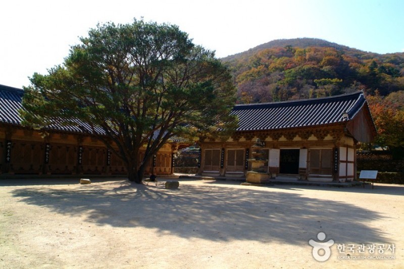 祇林寺