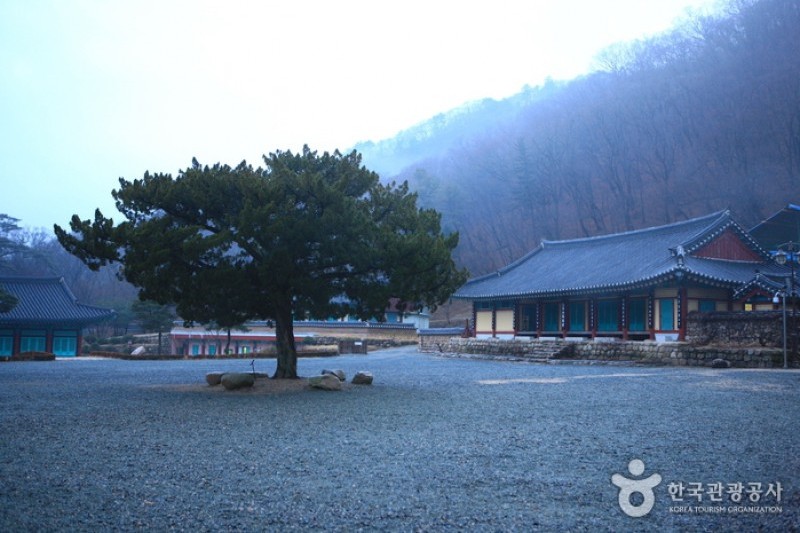 祇林寺