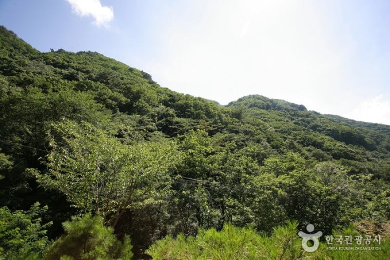 淸凉山道立公園  (4/23)
