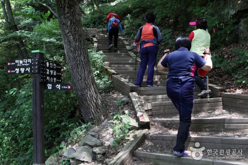 淸凉山道立公園  (11/23)