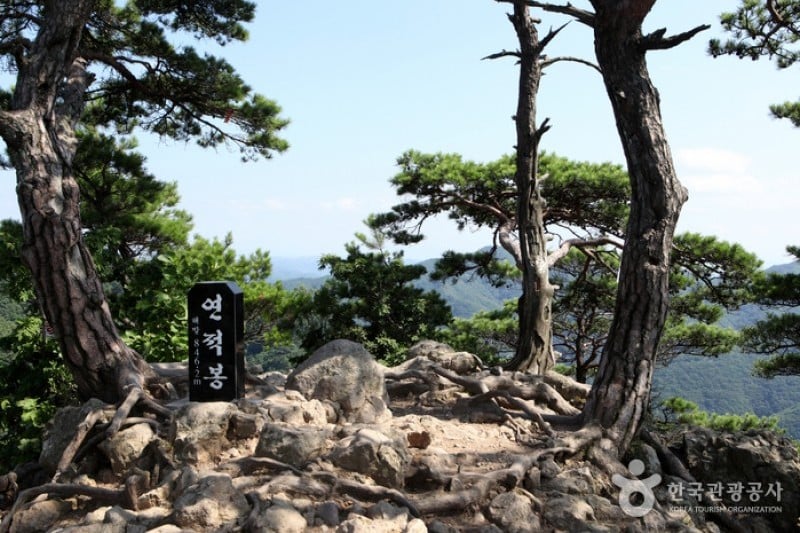 淸凉山道立公園  (14/23)