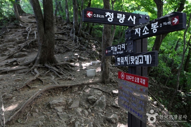淸凉山道立公園  (18/23)