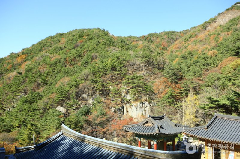 八公山道立公園 (4/9)