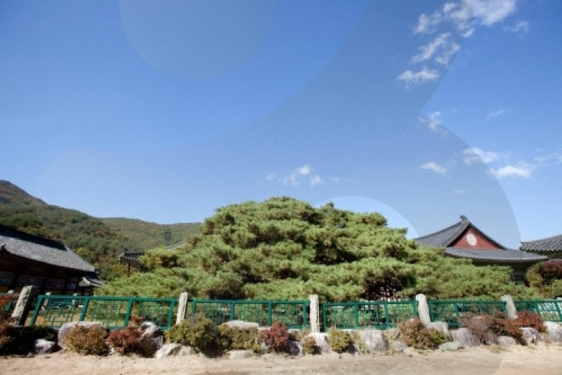 雲門寺