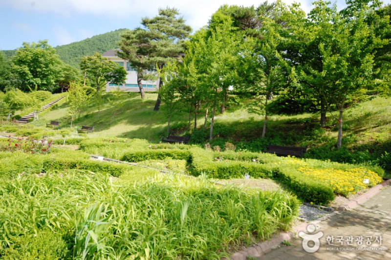 慶尚北道樹木園