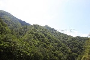 鷹峯山