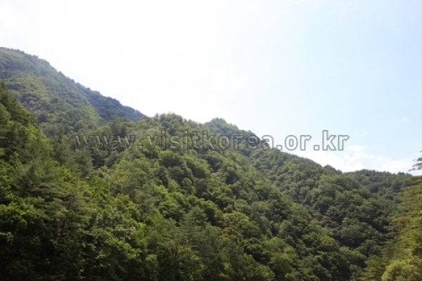 鷹峯山