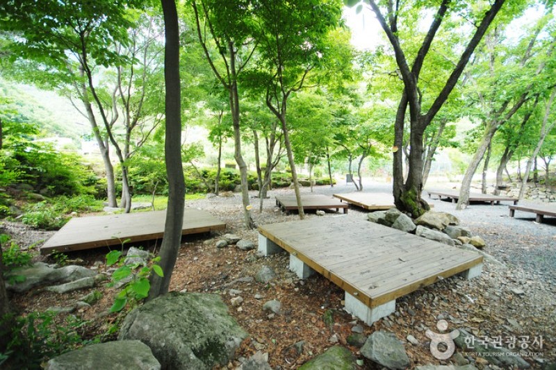 國立雲門山自然休養林