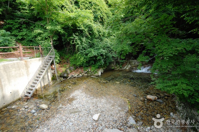 國立雲門山自然休養林