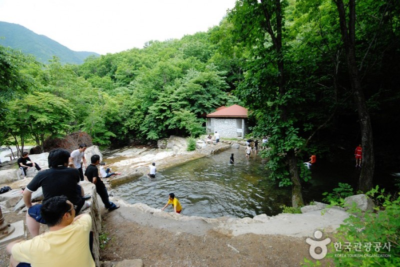 國立雲門山自然休養林