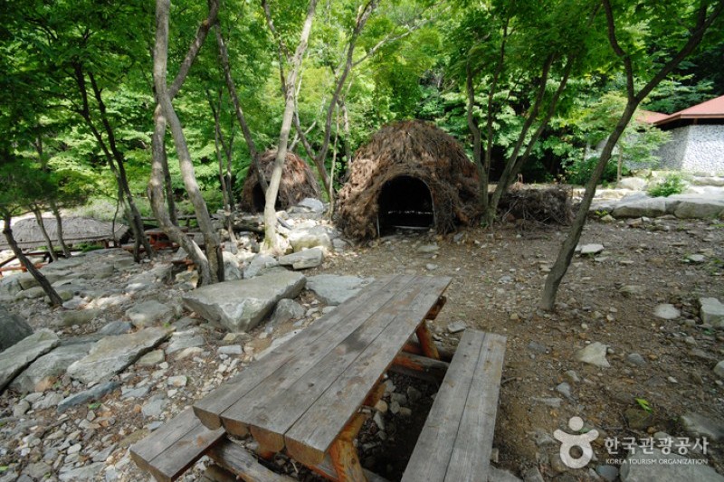 國立雲門山自然休養林
