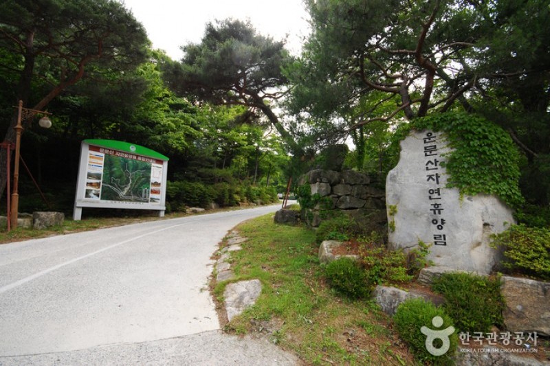 國立雲門山自然休養林