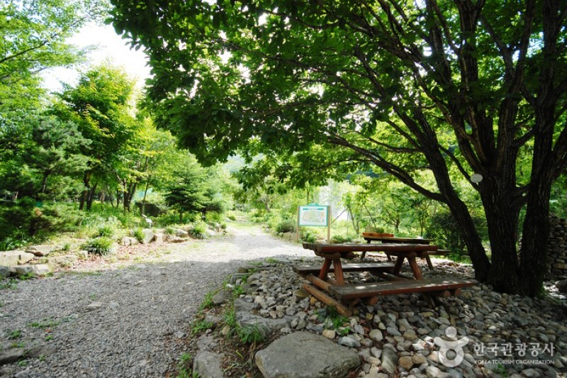 國立雲門山自然休養林
