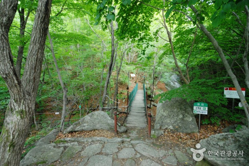 國立雲門山自然休養林