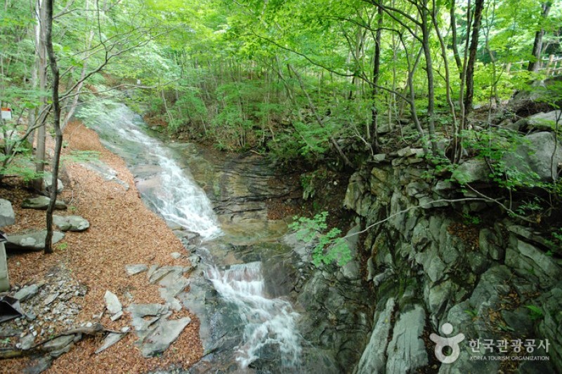 國立雲門山自然休養林
