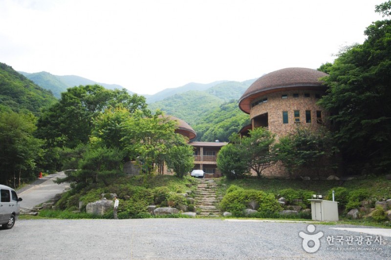 國立雲門山自然休養林