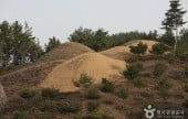 高靈池山洞古墳群