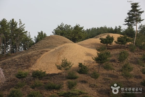 高靈池山洞古墳羣