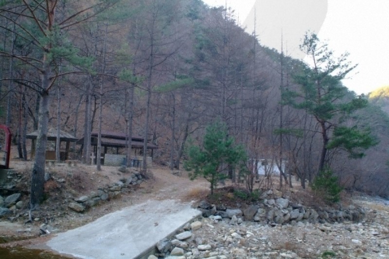 通高山自然休養林