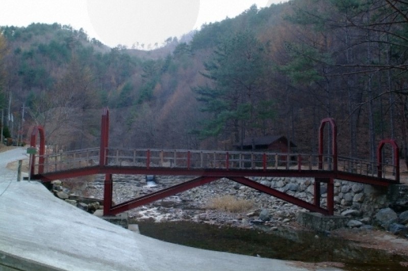 通高山自然休養林