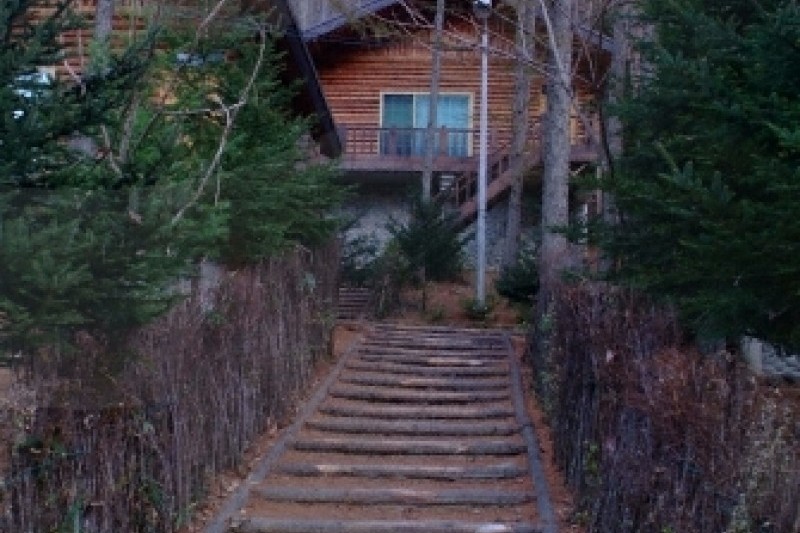 通高山自然休養林