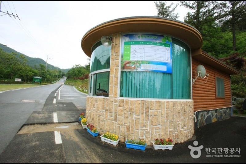 漆谷松亭自然休養林