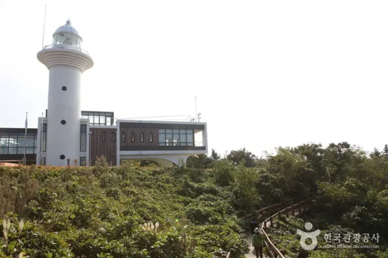 鬱陵島燈塔 (6/6)