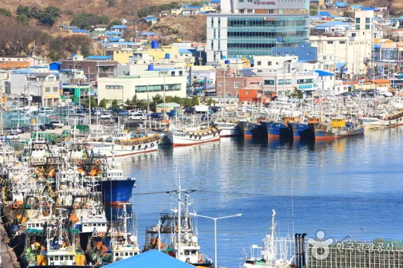 九龍浦港