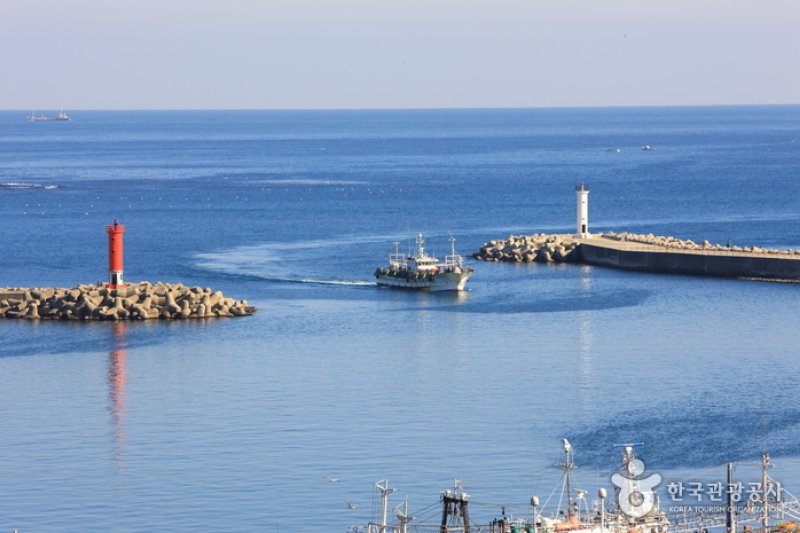 九龍浦港
