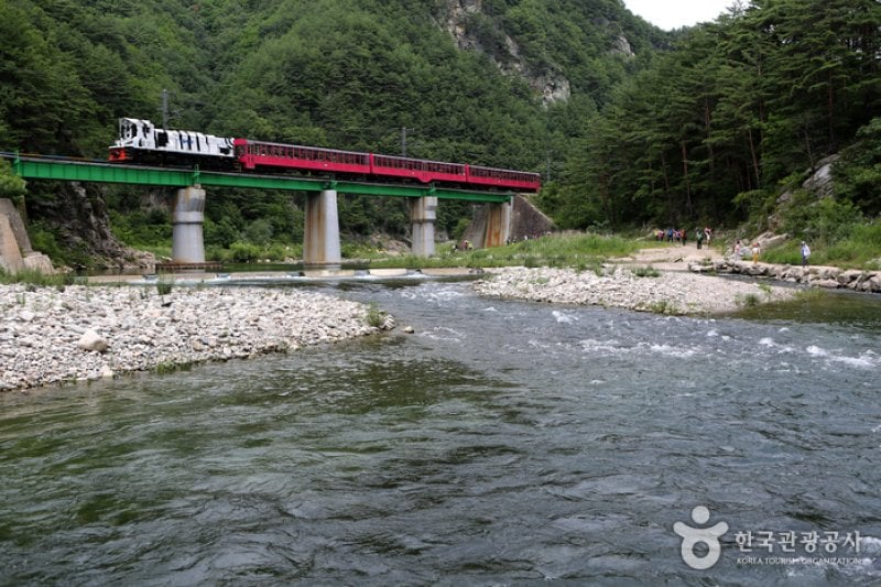 白頭大幹峽谷列車 (1/7)