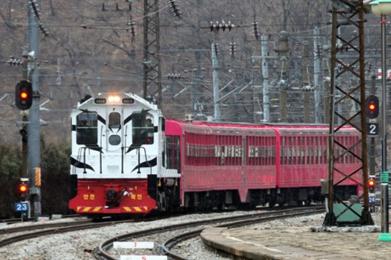 白頭大幹峽谷列車 (2/7)