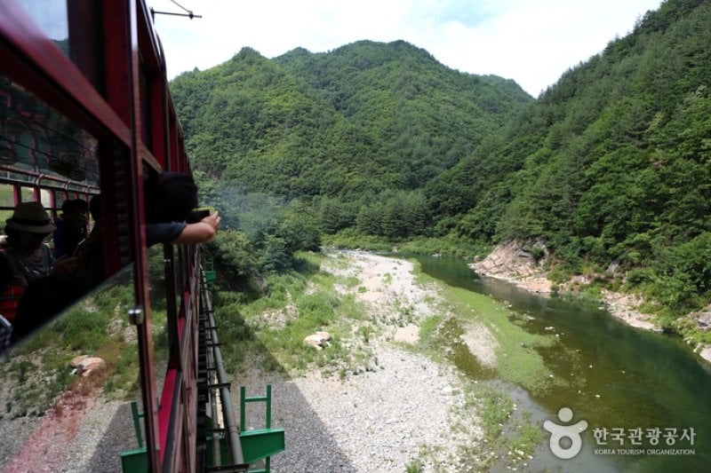 白頭大幹峽谷列車 (7/7)
