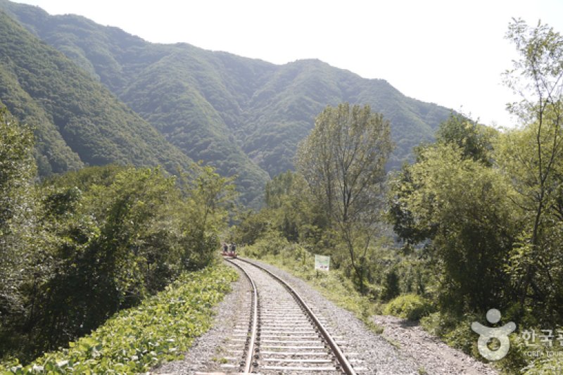聞慶鐵路自行車 