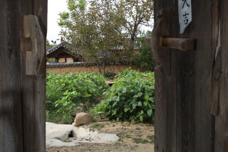 家溫堂 (石皐古宅)(가온당(석고고택)) (16/19)