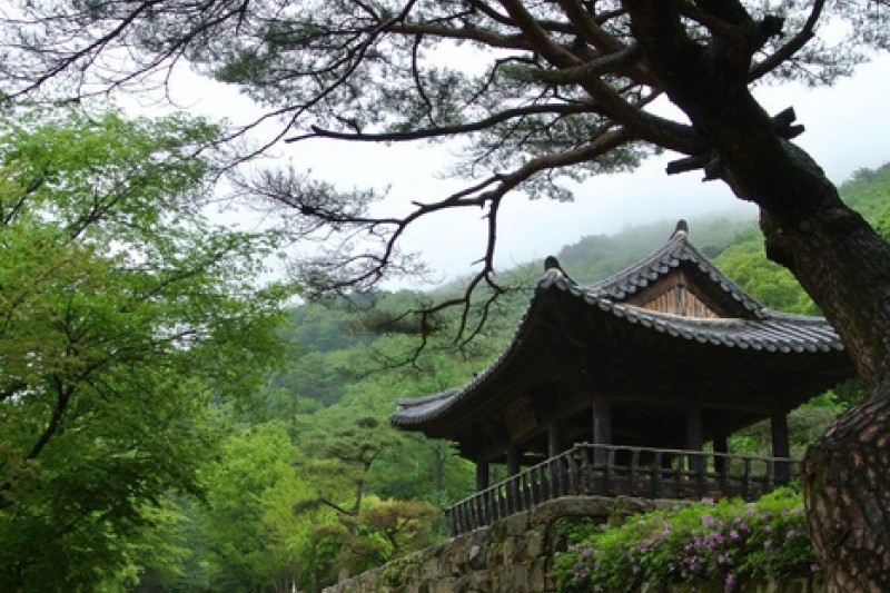 聞慶鳥嶺道立公園