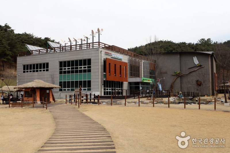 牛浦沼澤生態公園 (2/31)