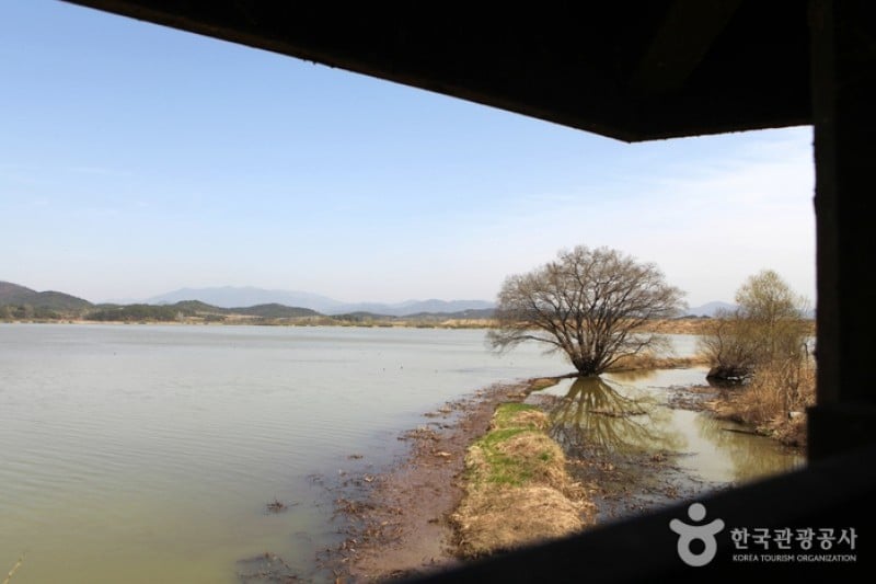 牛浦沼澤生態公園 (9/31)