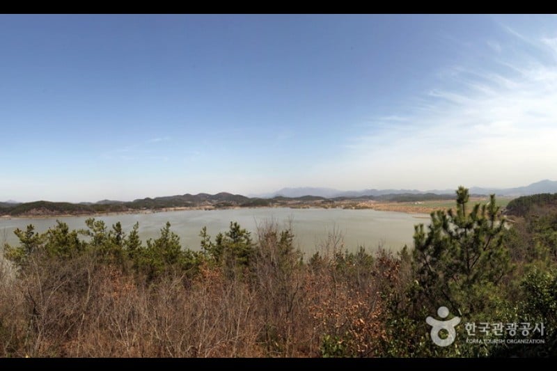 牛浦沼澤生態公園 (12/31)