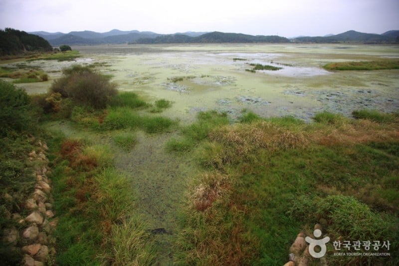 牛浦沼澤生態公園 (21/31)