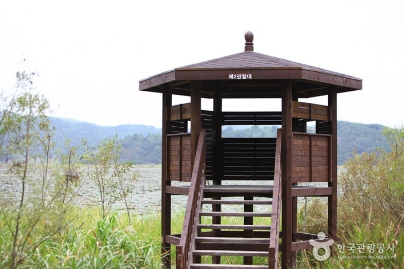 牛浦沼澤生態公園 (25/31)