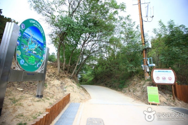 牛浦沼澤生態公園 (27/31)