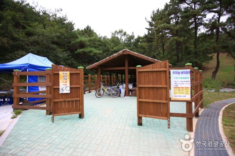 牛浦沼澤生態公園 (28/31)