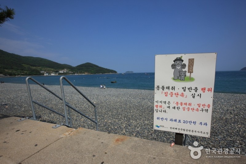 鶴洞黑珍珠鵝卵石海邊